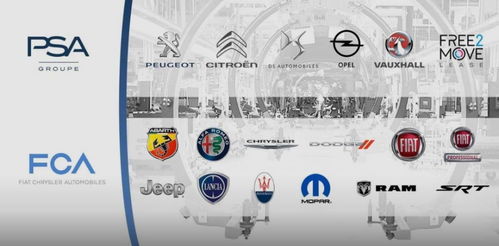 化妝品批發新路徑 開拓多元市場，提升品牌韌性