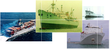 化妝品批發(fā)商如何選擇上海到東莞國內(nèi)海運(yùn)運(yùn)輸公司——以深圳市恒洋物流東莞分公司為例